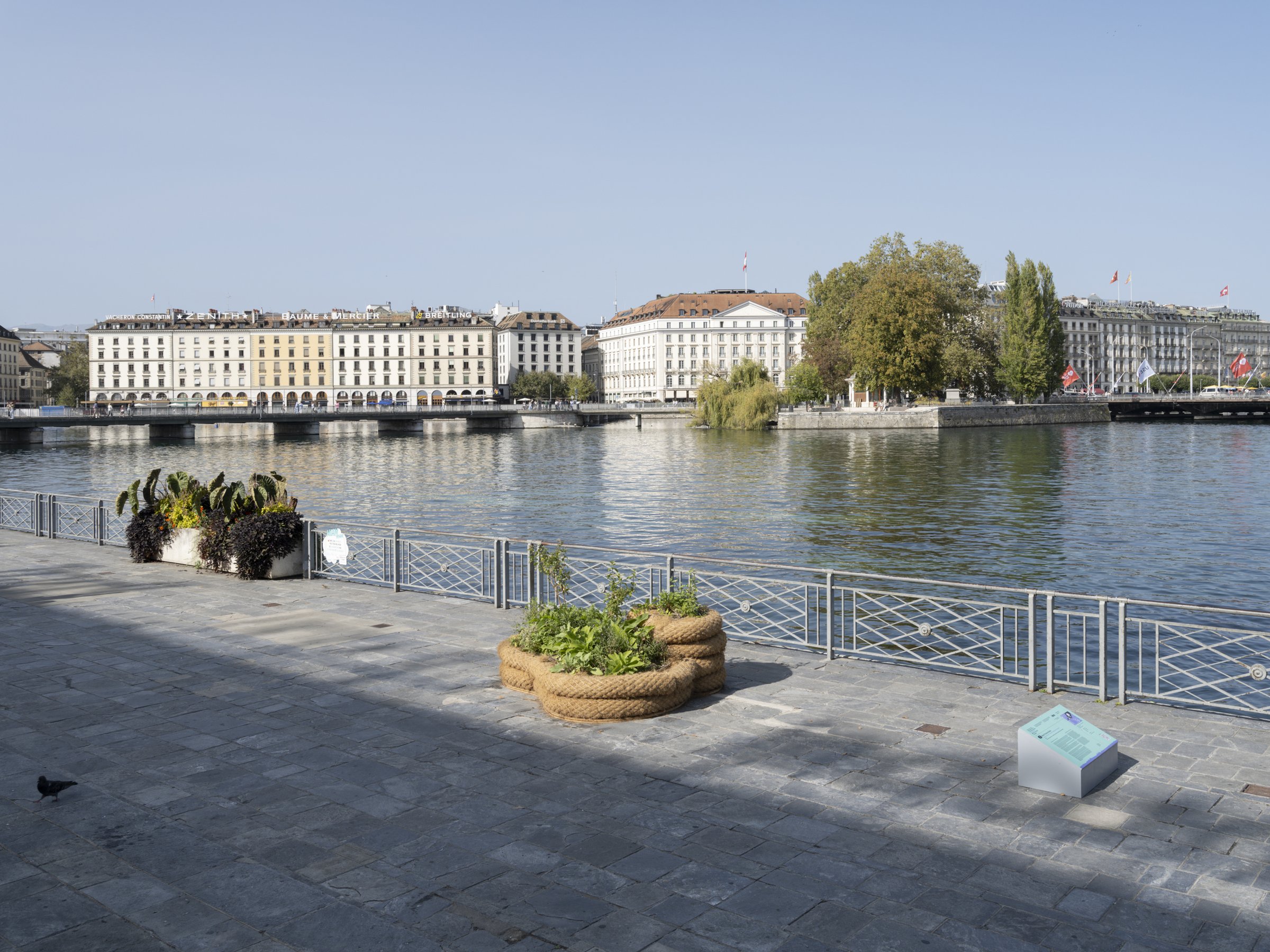 Seeds of Change - A Garden of Ballast Flora: Geneva