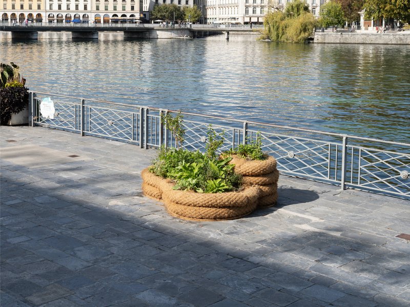 Seeds of Change - A Garden of Ballast Flora: Geneva