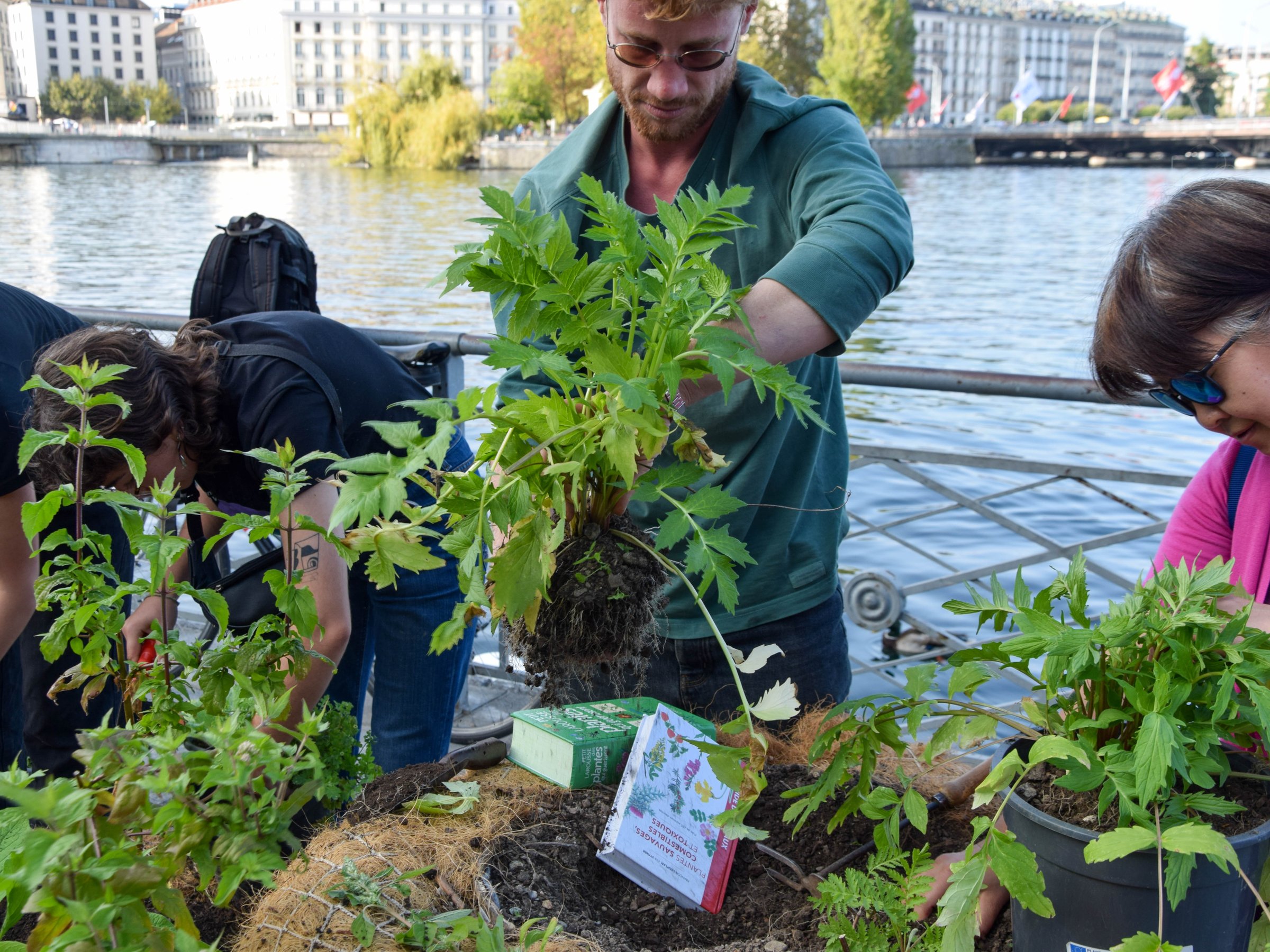 Seeds of Change - A Garden of Ballast Flora: Geneva