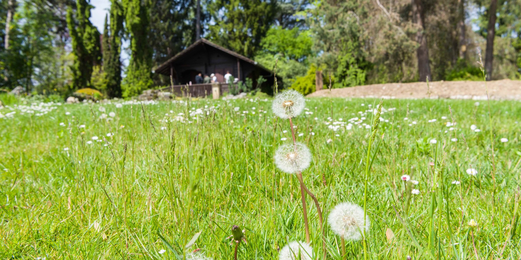 Meyrin Alpine Botanical Garden