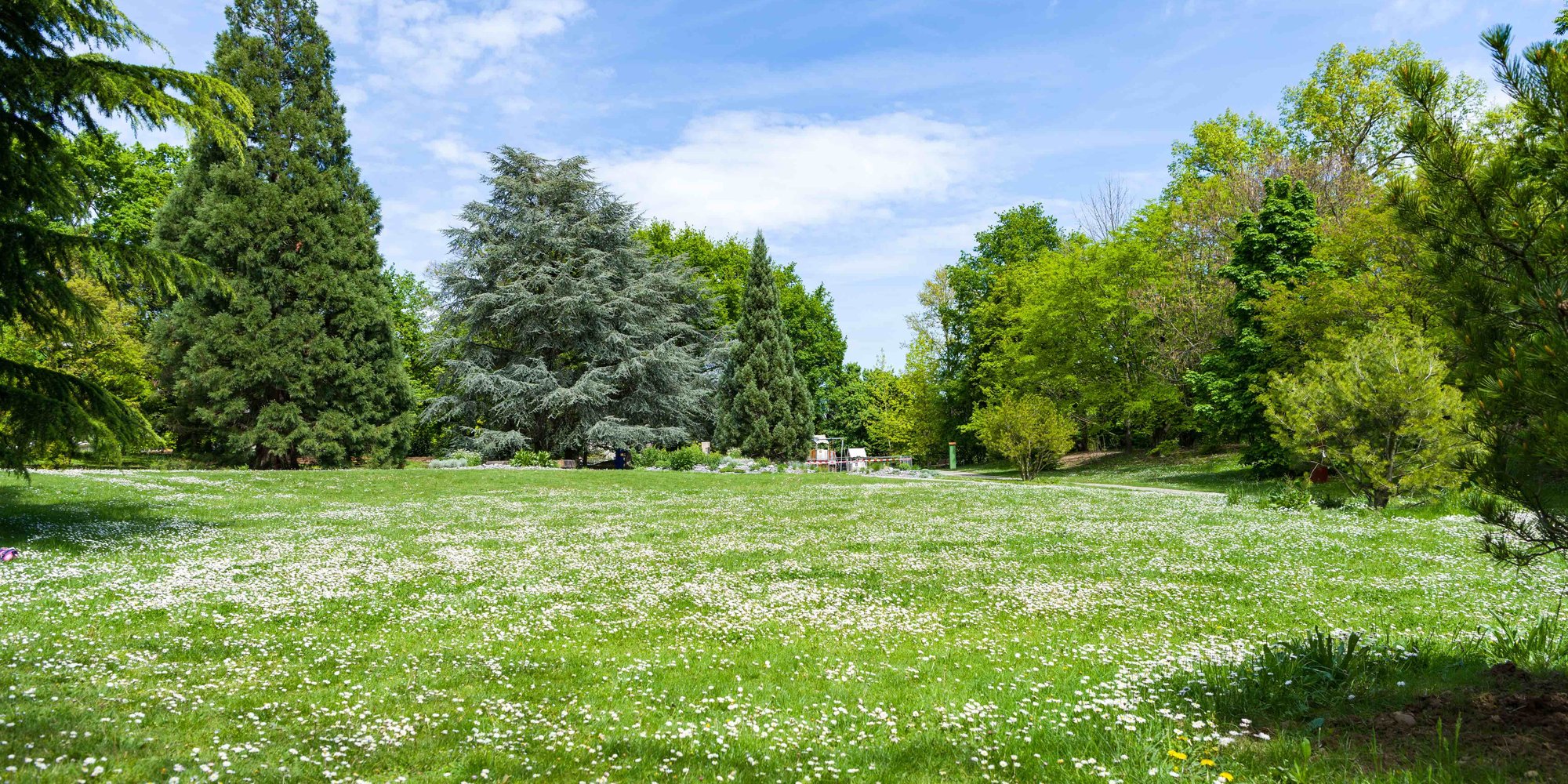 Meyrin Alpine Botanical Garden