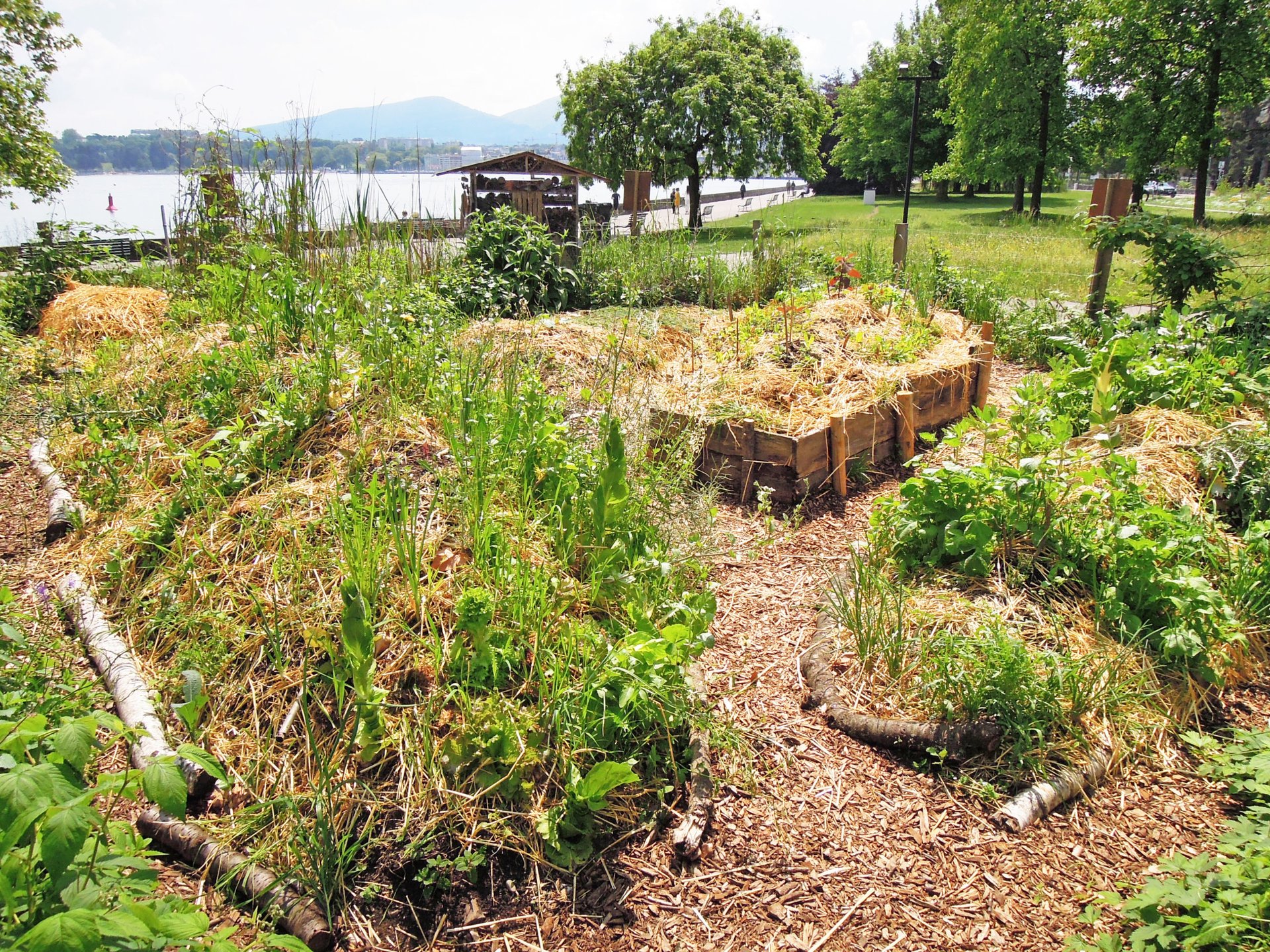 La Libellule forest garden